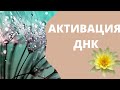 Активация ДНК. Медитация тета хилинга. Йога Лекси Татьяны Бабковой.