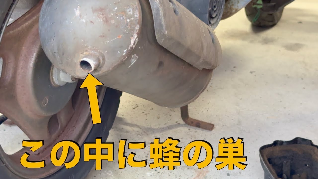 ヤフオクで1万円で落札したとんでもない原付のチャンバー内に蜂の巣がありました。