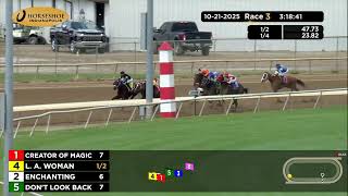 Vidéo de la course PMU RACE 3