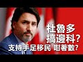 20201114C 杜魯多搞邊科？支持手足移民咁著數？  |   芒向早晨