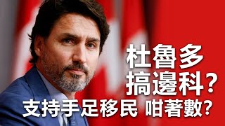 20201114C 杜魯多搞邊科？支持手足移民咁著數？  |   芒向早晨