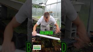 FAVORITE BASIN! It is BALANCED  #aquarium #aquascape #fishtank