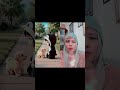 Anjing minta peluk Gugugaga #shortsviral #remix #shorts