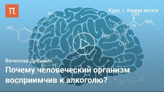 Мозг и алкоголь — Вячеслав Дубынин