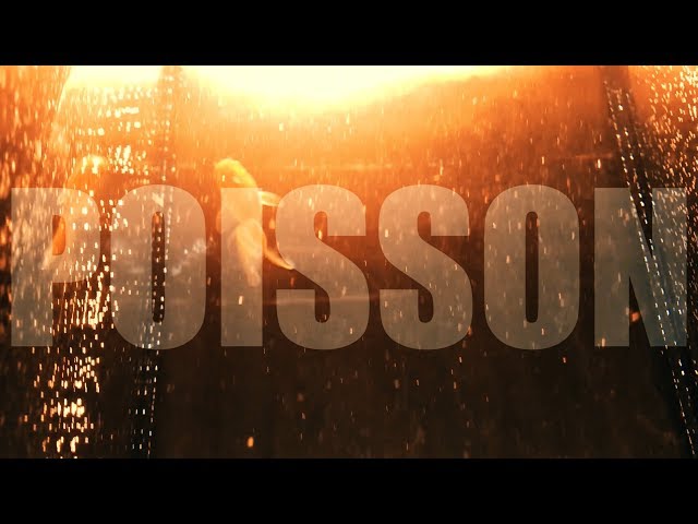 Le Prince Miiaou - POISSON  (Official video)