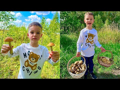 Юный ГРИБНИК в 4 ГОДА собрал БОЛЬШЕ ВСЕХ ГРИБОВ! Грибники ОШАРАШЕНЫ и В ШОКЕ! Белые Грибы 2023