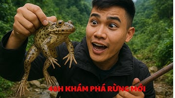 48H HÀNH TRÌNH KHÁM PHÁ KHU RỪNG MỚI - Să.n Đêm Ngủ Rừng | Rừng Mùa Đông