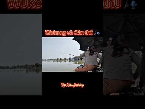 Ngộ Không và Cần thủ 😆😆 #vyhanfishing #fishing #caucathugian