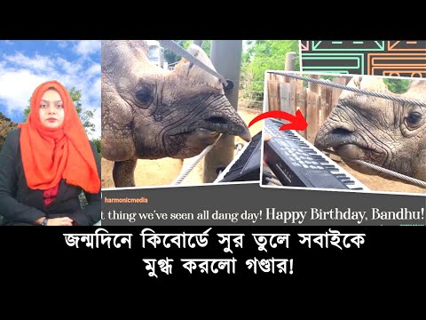 ভিডিও: মজার উপায়ে কীভাবে জন্মদিন উদযাপন করবেন