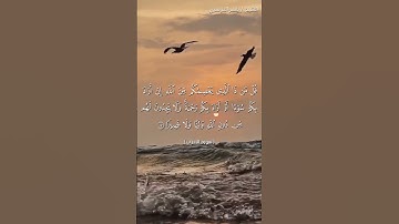 سورة الاحزاب من آية 17  إلى آية 18 بصوت الشيخ ياسر الدوسري♥♥