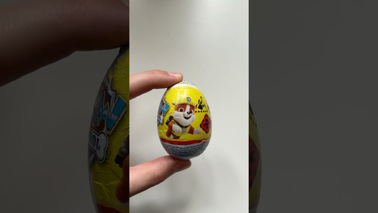 Paw patrol surprise!