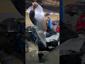 Защита для фар автомобиля