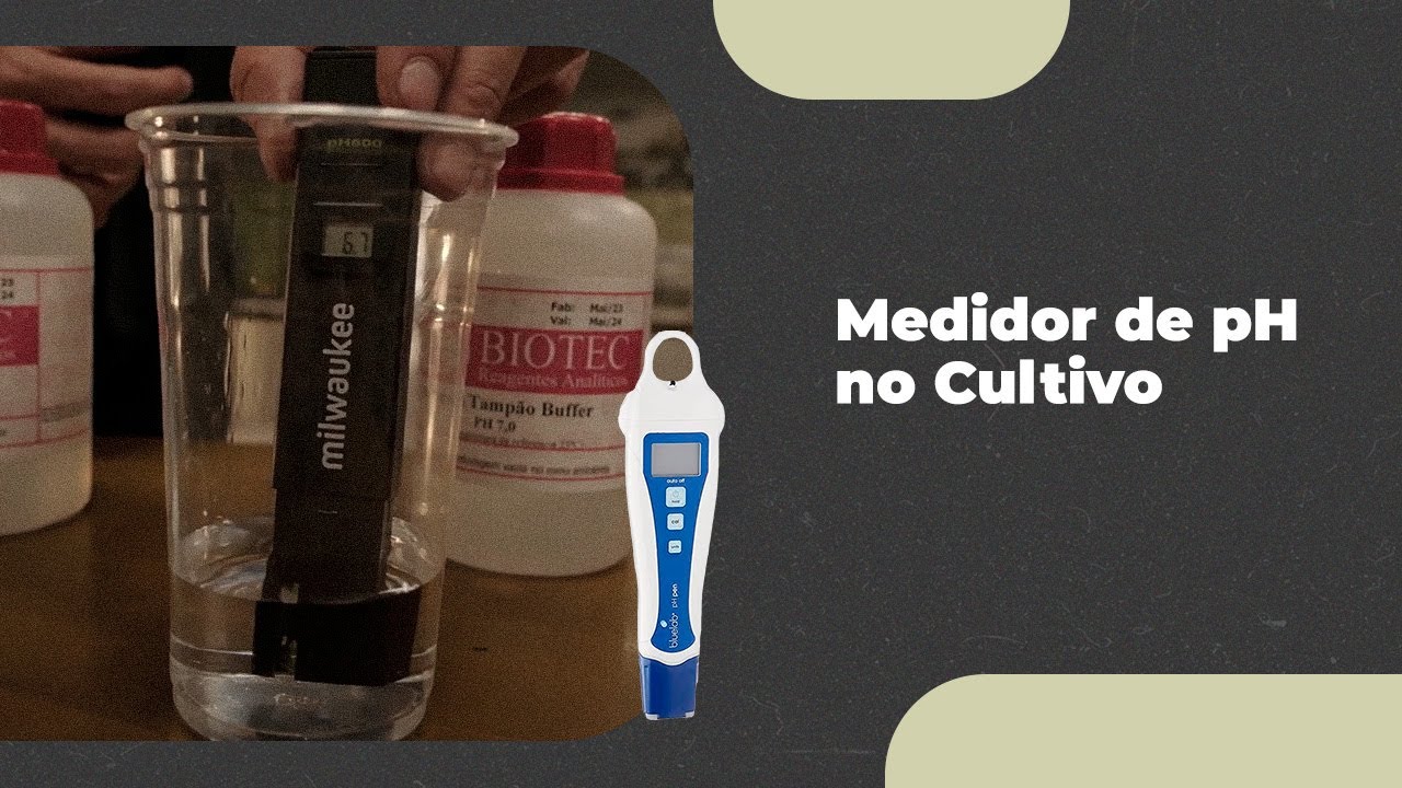 Como calibrar o medidor e medir o pH no cultivo de cannabis
