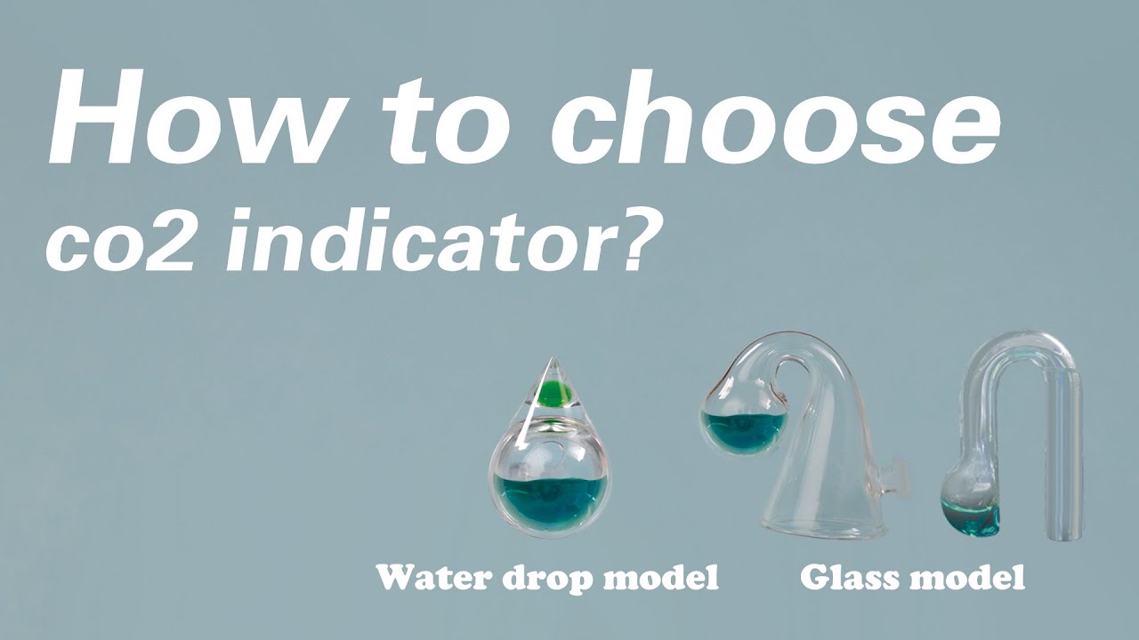 How To Choose Co2 Indicator Co2 Drop Checker Uuidear Youtube