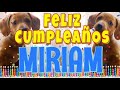 ¡Feliz Cumpleaños Miriam! (Perros hablando gracioso) ¡Muchas Felicidades Miriam!