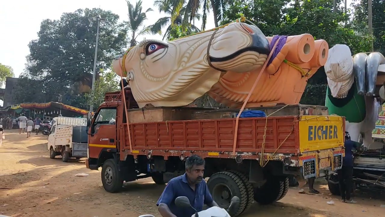 After thootha kala vela  2025 thootha kala vela കാളകളെ അഴിച്ചു പോകുന്നത് കണ്ടിട്ടുണ്ടോ തൂത കാളവേല