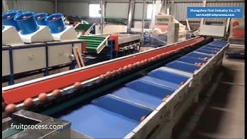 Passion fruit grading machine by weight，granadilla electronic weight sorting machine