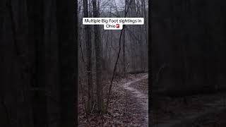 This week, several Bigfoot sightings were reported in Portage County, Ohio. #wildlife #horror