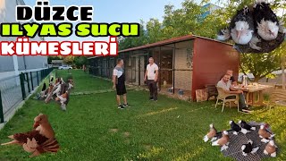 Hari̇ka Mekanda Çok Güzel Kümesler Ve Kivircik Balon Alman Demkeş Posta Üreti̇mi̇ İlyas Sucu Kümesleri̇