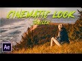 CINEMATIC LOOK | COLORGRADING