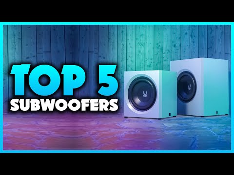 Top 5 Best
