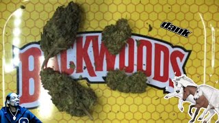Gelato Fuel from Eight Horses Hemp #420 #gelatofuel #cannabiscommunity #puffpuff