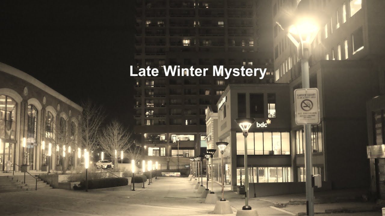 Late Winter Night Mystery