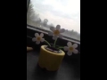 Happy flower