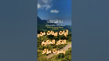 تلاوة خاشعة بصوت جميل ومؤثر تلاوة خاشعة راحة نفسية #قران_كريم #قرآن #elmulquranعلم #تلاوة_هادئة