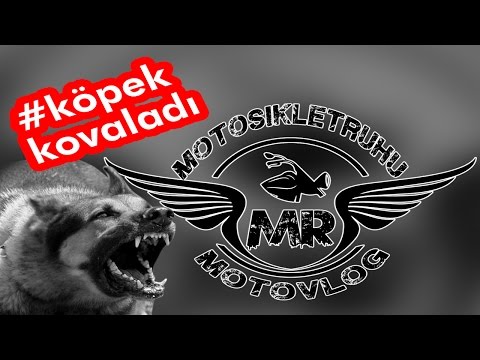 #olaylar I köpek saldırdı I adrenalin I adamı hasta etmeyin I pulsar