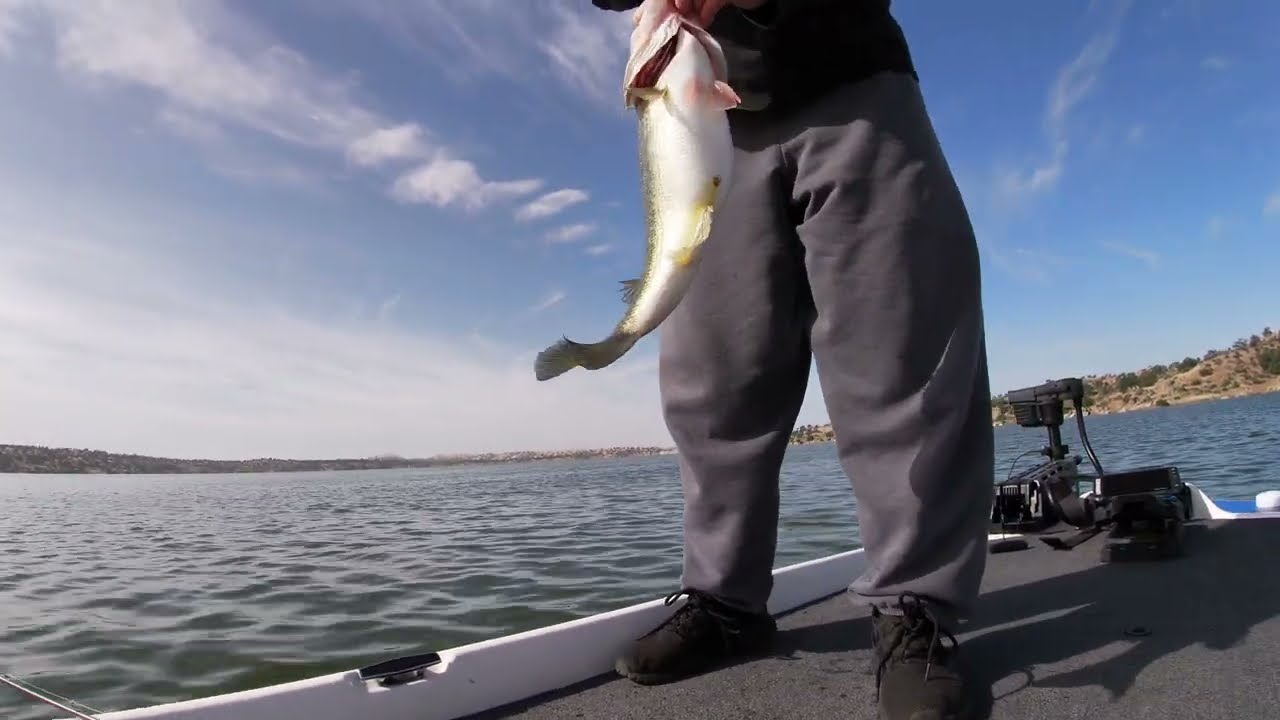 Bass Fishing Eastman Lake 5/24/2024, caught a couple nice bass.
