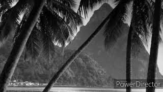 MagiCXbeats - Galapagos Islands 2