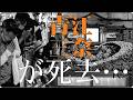 「青江三奈が遺した“本当の人生”――紅の流れ星の裏側」