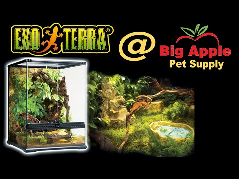 Exo Terra Glass Terrariums - Showing All Sizes Live At Global Pet Show