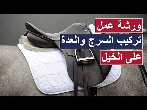 ورشة عمل تركيب السرج والعدة على الخيل مستلزمات الخيل وطريقة تركيبها