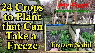 24 Cool Season Crops to Plant in March & April: Examples of Frozen Plant and What That Means. by Gary Pilarchik 4,339 views 2 months ago 6 minutes, 47 seconds