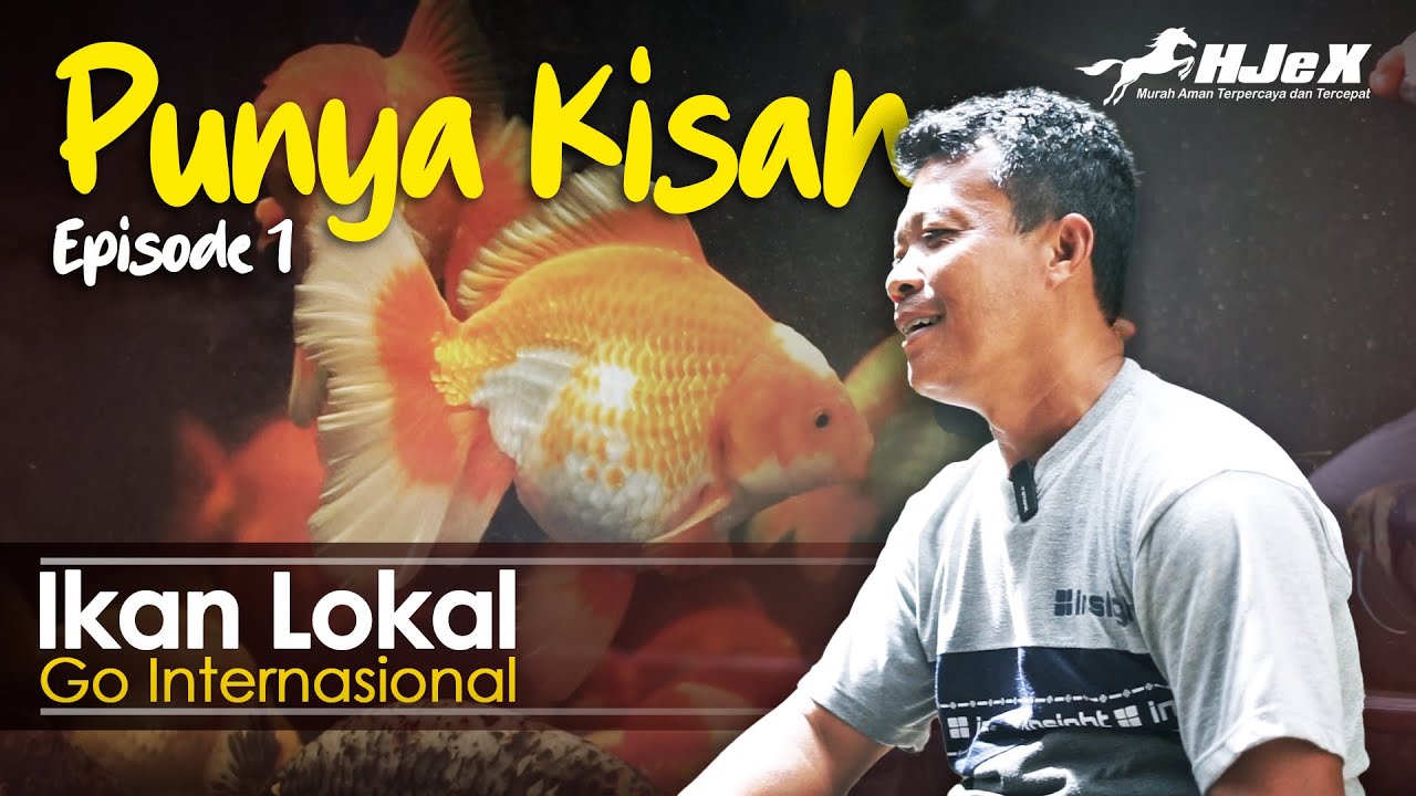 Episode 1 - Kisah Sukses Pak Minto Pembudidaya Ikan Hias Go Internasional