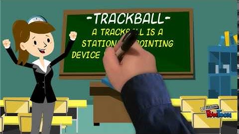 Pointing Devices (Input)