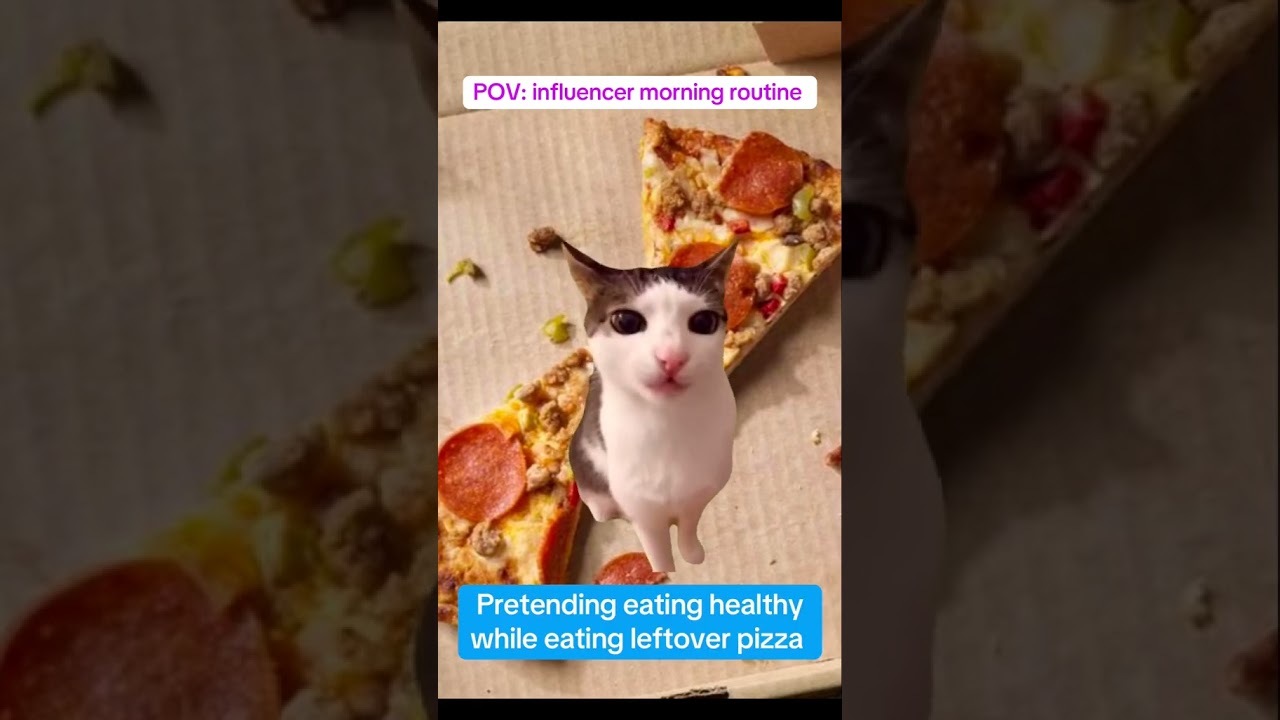 #relatable #pov #simplyskills #viral #catmeme #cat #contentcreator #morning #influencers #capcut