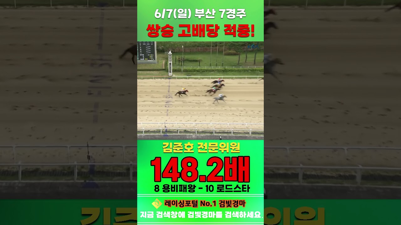 [부산 경마] 6월 7일 일요 7경주 김준호 전문위원 쌍승 고배당 적중 #경마 #automobile #하이라이트 #horse #한국마사회 #riding #racing #게임 #뉴스