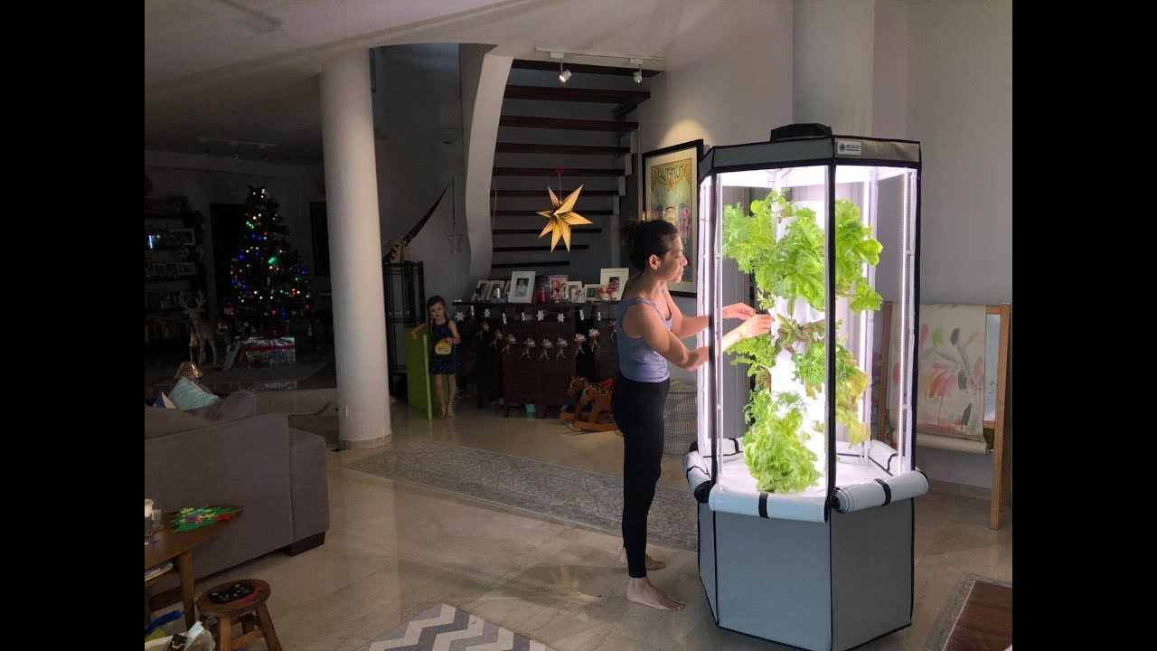 Grow Plants Indoors All Year Round YouTube