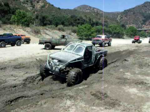 DSCF5431.avi puppy paradise