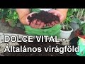 DOLCE VITAL Általános virágföld