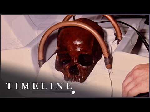 This 8,000-year-old Skull Still Has Its Brain Inside
