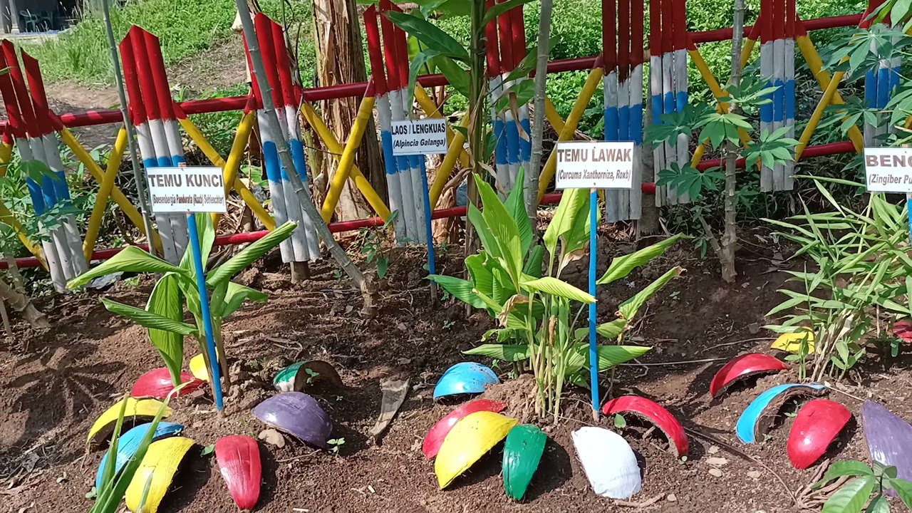 LOMBA TOGA KECAMATAN PADANG CERMIN