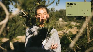 Lethr - Sunny Day | majestic color