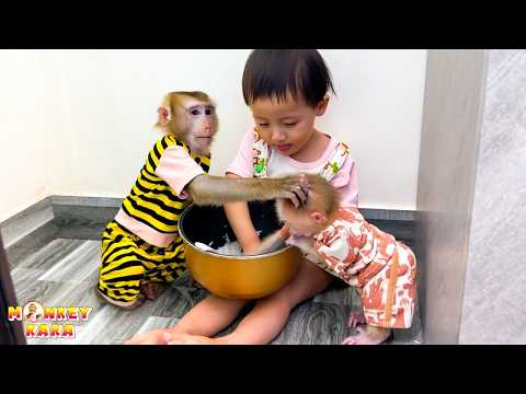 Monkey Kaka, Diem, and Monkey Mit secretly ate rice behind the door.