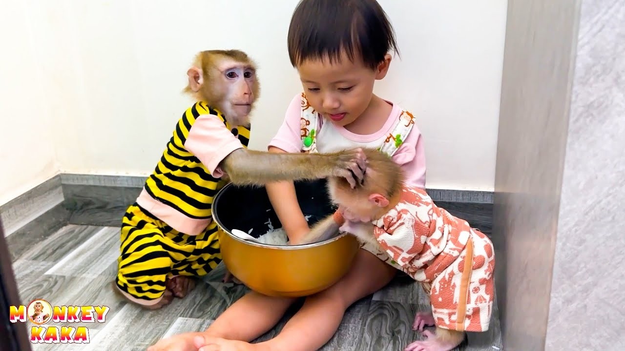 Обезьянка Кака, Дием и Обезьянка Мит тайком ели рис за дверью.