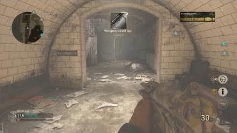 COD WW2 Quad Feed with Grease Gun