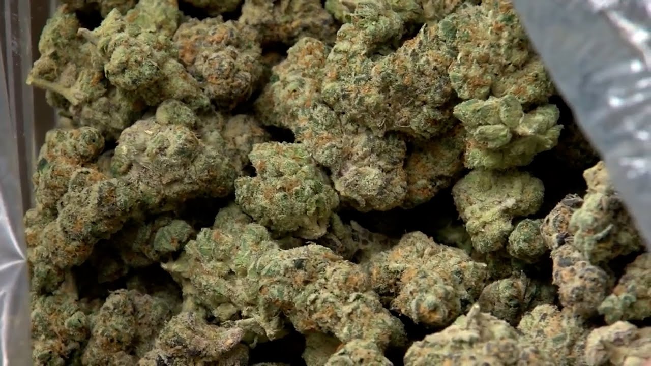 San Diego is granted nearly $900,000 for cannabis entrepreneurship equity